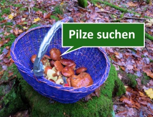 Pilze im Korb